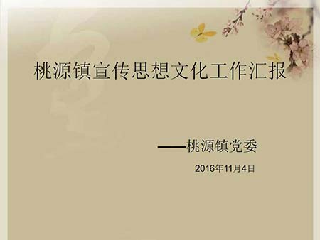 桃源鎮開展宣傳思想文化風采.jpg