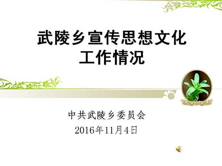 武陵鄉(xiāng)開展宣傳思想文化風(fēng)采.jpg