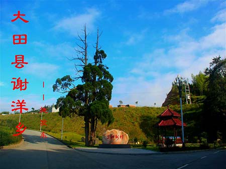 謝洋鄉開展宣傳思想文化風采.jpg