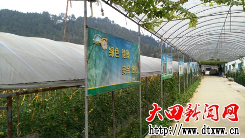 永強農場一角.jpg
