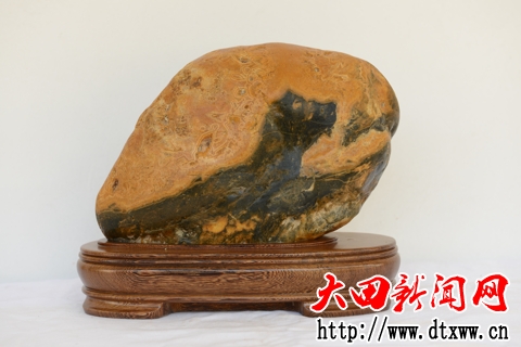題名：海獅 石種：大田彩蠟石 規格：27-21-12cm.JPG