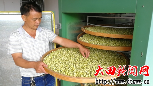 林新止檢查干花產品質量(1).JPG
