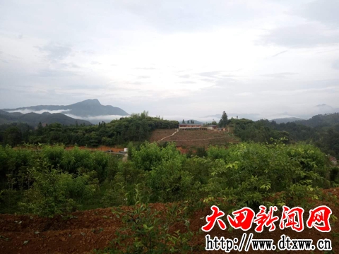 大坵田生態農場.jpg
