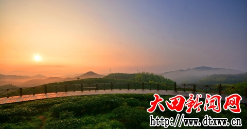 中國高山茶核心區屏山茶鄉晨韻（溫欣孝攝）.jpg