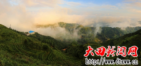 濟陽鄉九龍峰茶山（劉冬春 攝）.jpg