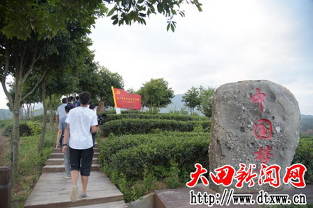 廣平元沙五龍山茶園（顏全飚攝）.jpg
