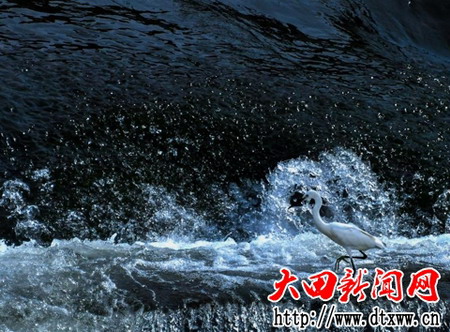 微信圖片_20171214113624.jpg